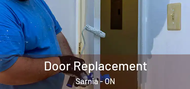  Door Replacement Sarnia - ON