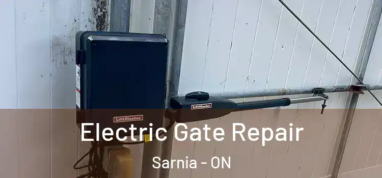 Electric Gate Repair Sarnia - ON