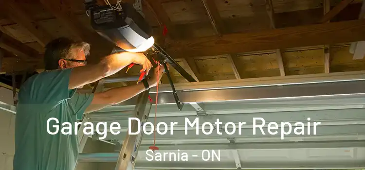  Garage Door Motor Repair Sarnia - ON