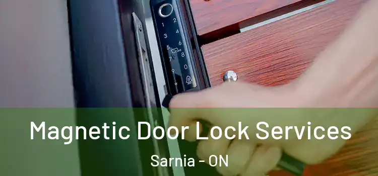 Magnetic Door Lock Services Sarnia - ON